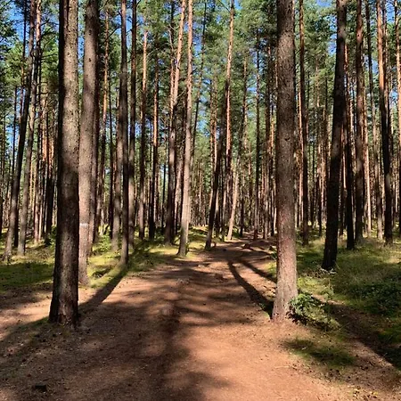 Luxury Harmony In Vanagupe Appartamento *