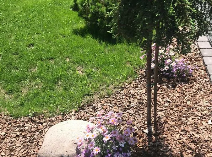 Apartment Luxury Harmony In Vanagupe