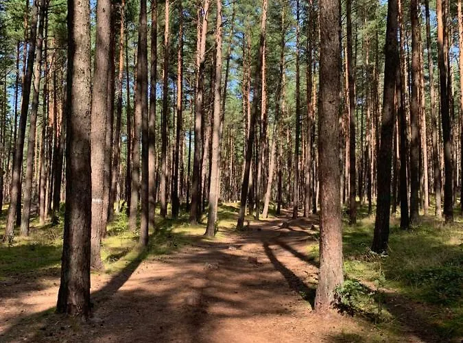 Luxury Harmony In Vanagupe Appartamento *