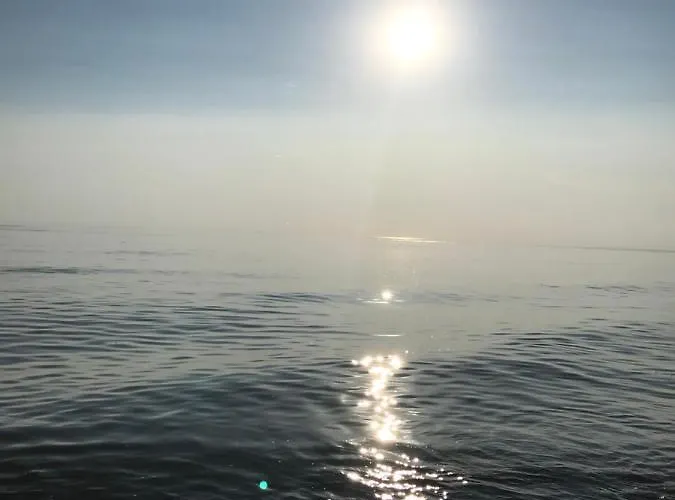 Luxury Harmony In Vanagupe Apartment